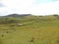 /products/fazenda-em-rio-do-campo-sc-com-115-ha-/